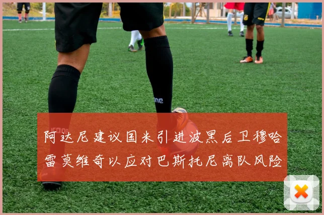 阿达尼建议国米引进波黑后卫穆哈雷莫维奇以应对巴斯托尼离队风险
