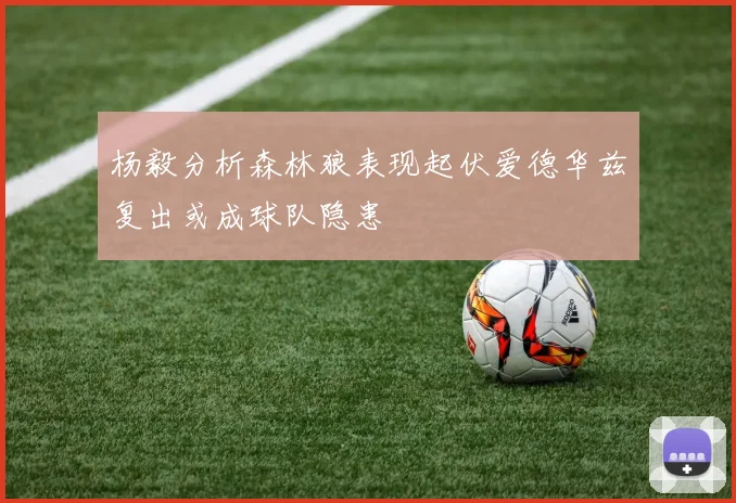 杨毅分析森林狼表现起伏爱德华兹复出或成球队隐患